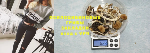сатива Балабаново