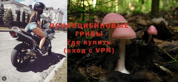 сатива Балабаново