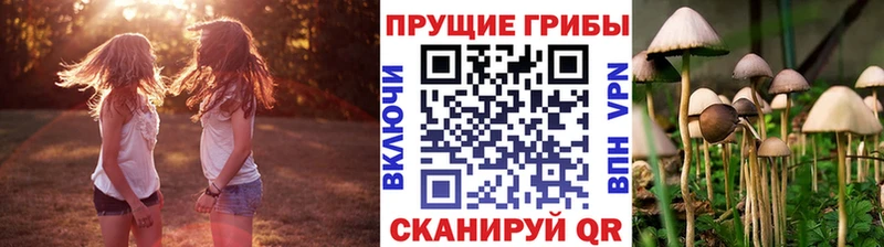 Псилоцибиновые грибы мухоморы  blacksprut ссылка  Козельск  купить  
